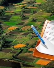 АМУ закликала Парламент ухвалити законопроєкт, який вирішить проблеми громад у сфері земельних відносин