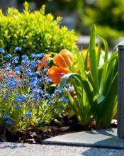 Важлива інформація