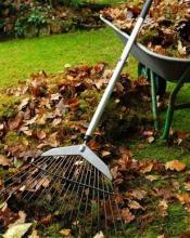 Триває двомісячник з благоустрою Триває двомісячник з благоустрою