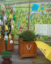 У області тривають урочистості з нагоди 85 – річчя Київської області.