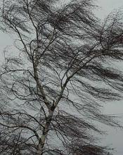 ШТОРМОВЕ ПОПЕРЕДЖЕННЯ