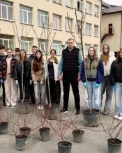 Дерево шани Героям: у Гаврилівці квітнутимуть сакури пам'яті.