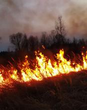 Шановні громадяни, рятувальники Київщини б’ють на сполох!