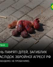 4 червня Україна вшановує пам’ять дітей, чиї життя забрала війна.