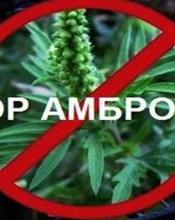  У громаді триває акція «АМБРОЗІЯ СТОП»
