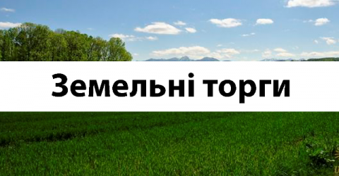 Про визначення виконавця земельних торгів