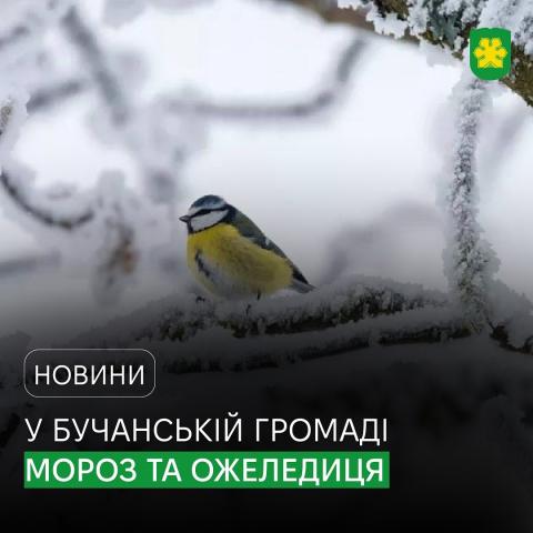 У Бучанській громаді мороз та ожеледиця. У Бучанській громаді мороз та ожеледиця.
