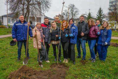 Солодка алея у Бучі: у районі Склозаводський висадили дерева та кущі Солодка алея у Бучі: у районі Склозаводський висадили дерева та кущі