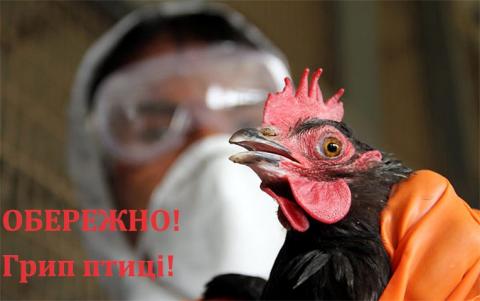 ОБЕРЕЖНО! В Україні зареєстровано новий випадок грипу птахів !