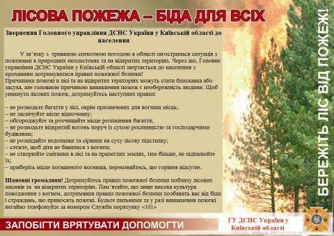 Ірпінський регіон: пожежі в екосистемах