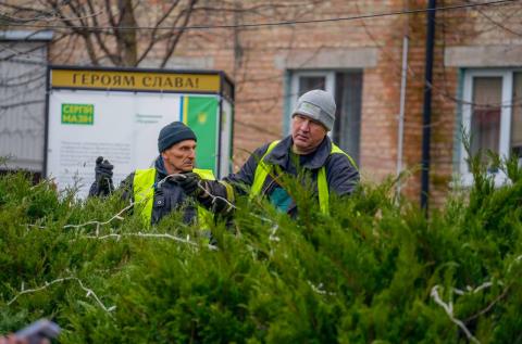 На Київській площі у Бучі розпочали встановлення головної різдвяної ялинки. На Київській площі у Бучі розпочали встановлення головної різдвяної ялинки.