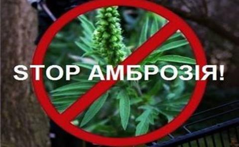  У громаді триває акція «АМБРОЗІЯ СТОП»