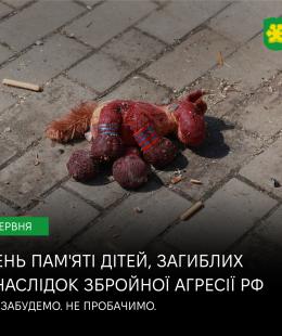 4 червня Україна вшановує пам’ять дітей, чиї життя забрала війна.